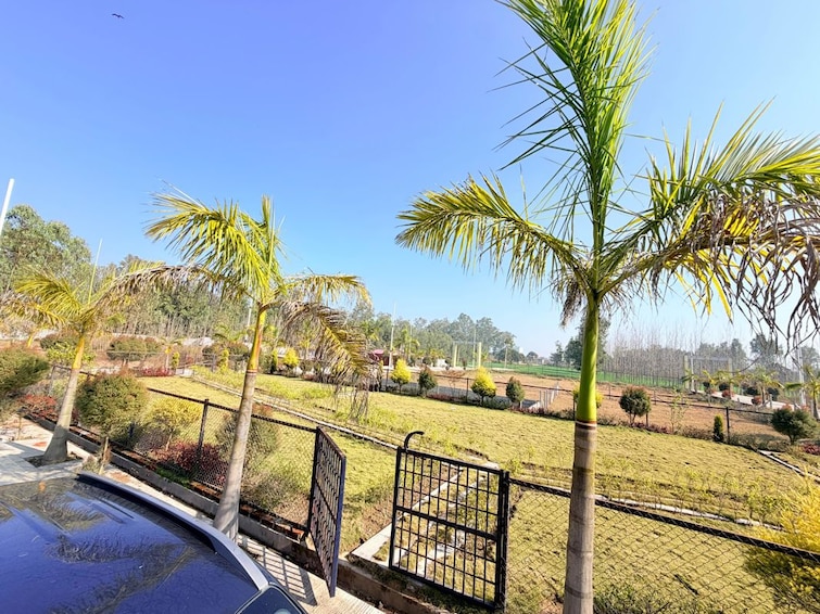 Cover Image, mohabbewala  125 Sq.Yd. Plot In Mohabbewala Dehradun 9936562