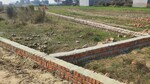 1236 Sq.Ft. Plot in Motiram Adda