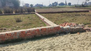 Plot Area in  Plot at Motiram Adda – for Sale