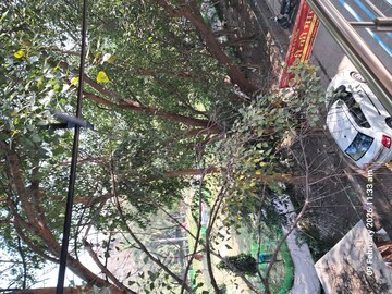 1 BHK Builder Floor – Exterior View View at Rohini Sector 8 - for Rent