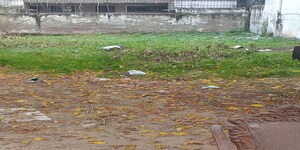  Plot For Sale in Bhopani