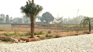 Plot Area in  Plot at Sultanpur Road – for Sale