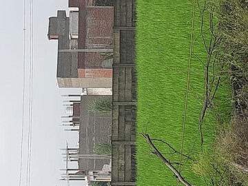  Plot For Sale in Sector 63a