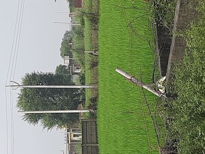 Plot Area in  Plot at Sector 63a – for Sale