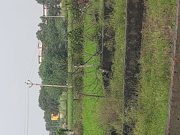 Plot Area in  Plot at Sector 63a – for Sale