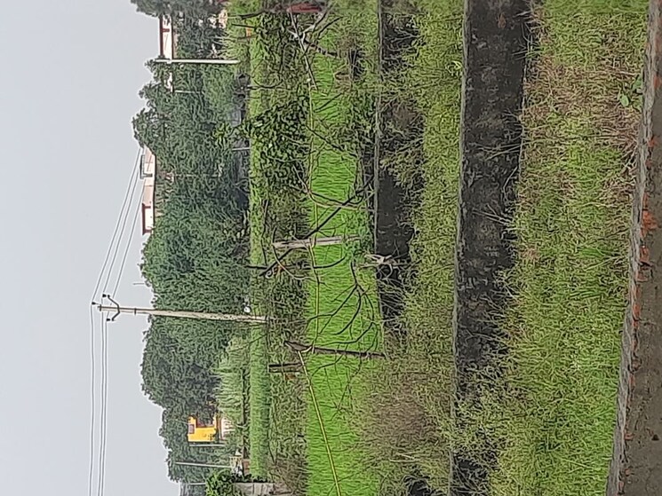 undefined, sector 63a  200 Sq.Yd. Plot In Sector 63a Noida 9937404