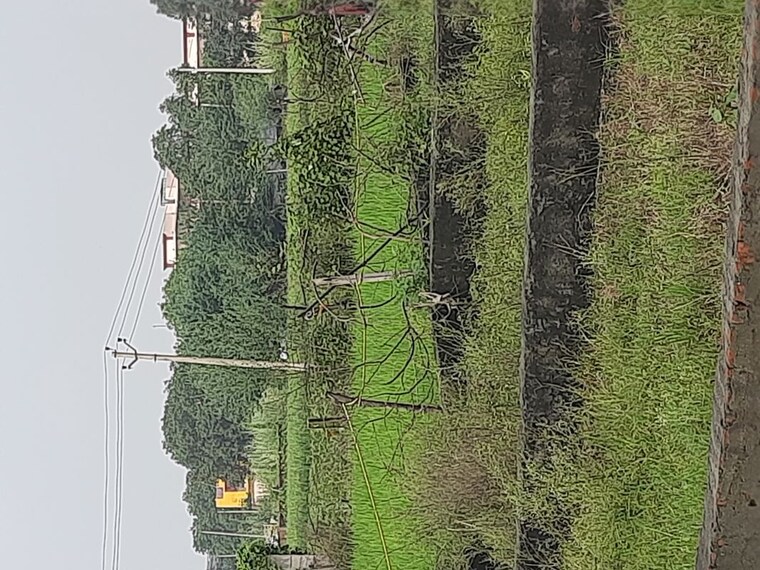 undefined, sector 63a  200 Sq.Yd. Plot In Sector 63a Noida 9937404