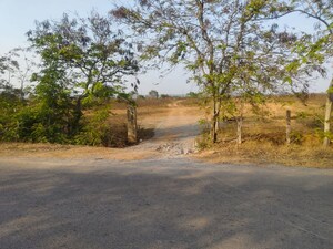 Plot Area in  Land at Kadthal – for Sale