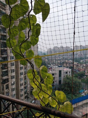 2 BHK Apartment For Rent in Aditya Mega City, Vaibhav Khand