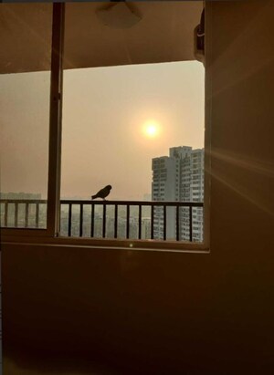 Living Room in 2 BHK Apartment at Shree Vardhman Green Court, Sector 90 – for Rent