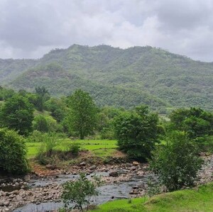  Land For Sale in Khed