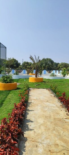 Plot For Sale in Shadnagar
