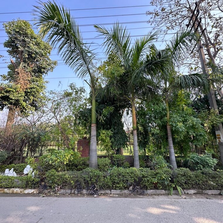 Garden, sector 4 5 Bedroom 500 Sq.Yd. Independent House In Sector 4 Panchkula 9938819