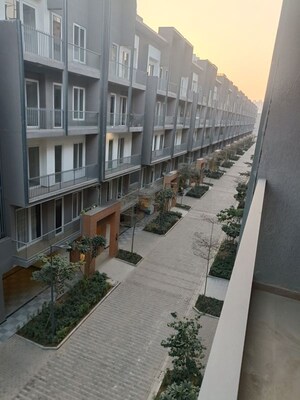 Balcony in 3 BHK Apartment at Smart World Orchard, Sector 61 – for Rent