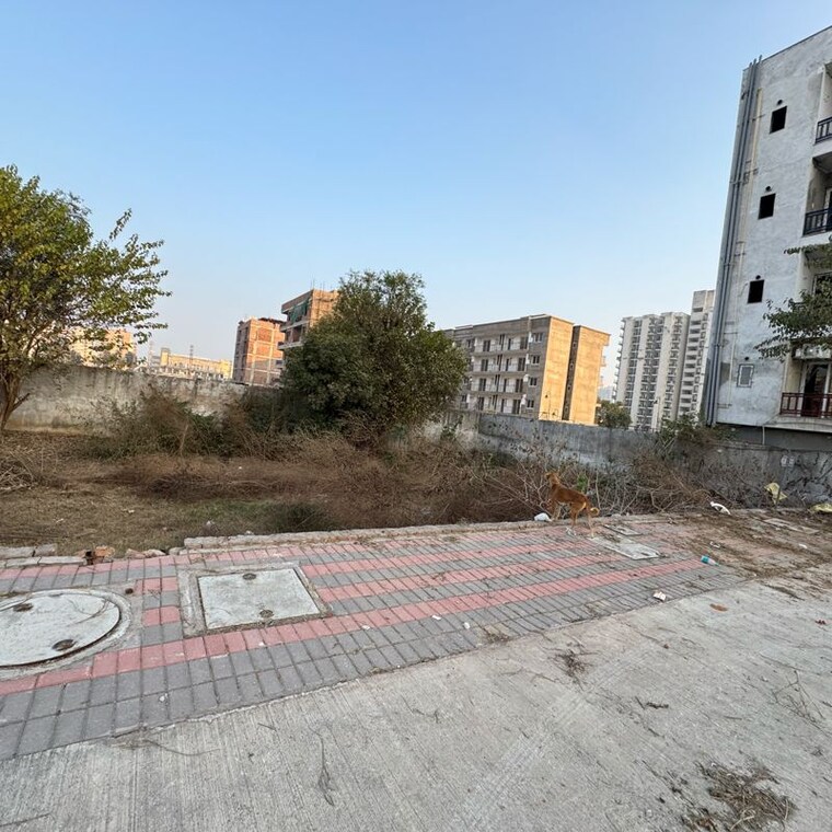 Exterior View, rof-green-meadows  125 Sq.Yd. Plot In Alipur Gurgaon 9938924