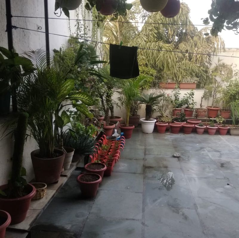 1 Rk+ Study Room Builder Floor For Rent in Saket