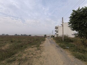 Plot Area in  Plot at Pataudi – for Sale