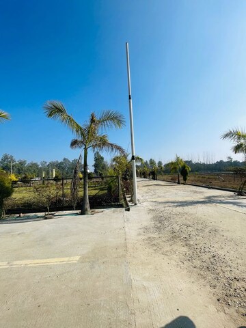 Plot Area in  Plot at Rajpur Road – for Sale