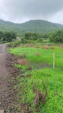 Plot For Sale in Vindhane