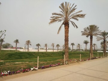  Plot – Exterior View View at Sector 84 - for Sale