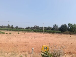  Plot For Sale in Vijay Nagar