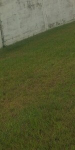 260 Sq.Yd. Plot in Karnail Singh Nagar Phase II