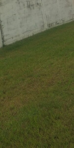  Plot For Sale in Karnail Singh Nagar Phase ii