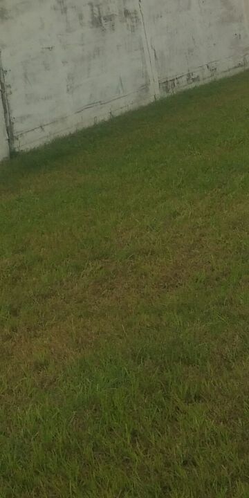  Plot For Sale in Karnail Singh Nagar Phase ii