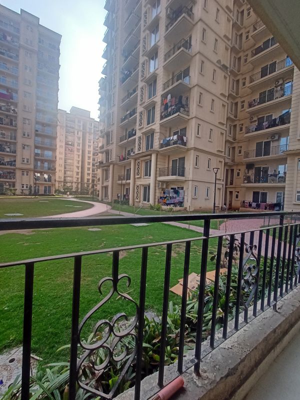 2 BHK Apartment For Rent in Signature The Serenas
