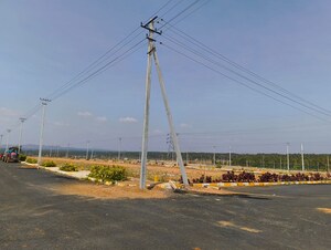 Plot Area in  Plot at Channarayapatna – for Sale