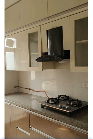 Kitchen in 3 BHK Apartment at DLF Regal Gardens, Sector 90 – for Rent