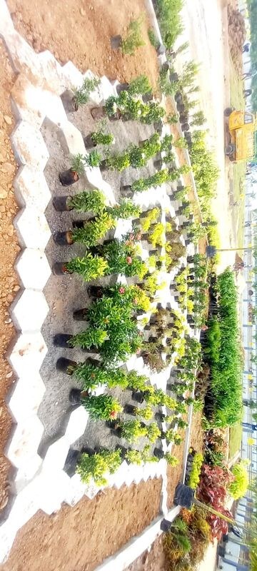  Plot – Exterior View View at Epitome Integrated City Phase I, Choutuppal - for Sale