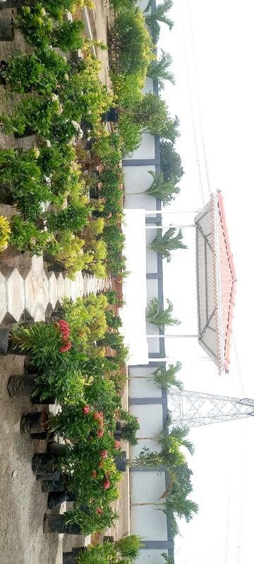  Plot – Exterior View View at Epitome Integrated City Phase I, Choutuppal - for Sale