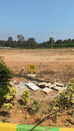 1500 Sq.Ft. Plot in Vijay Nagar