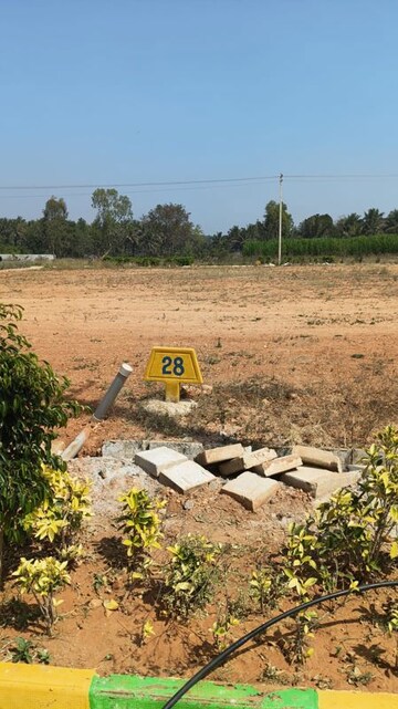  Plot For Sale in Vijay Nagar