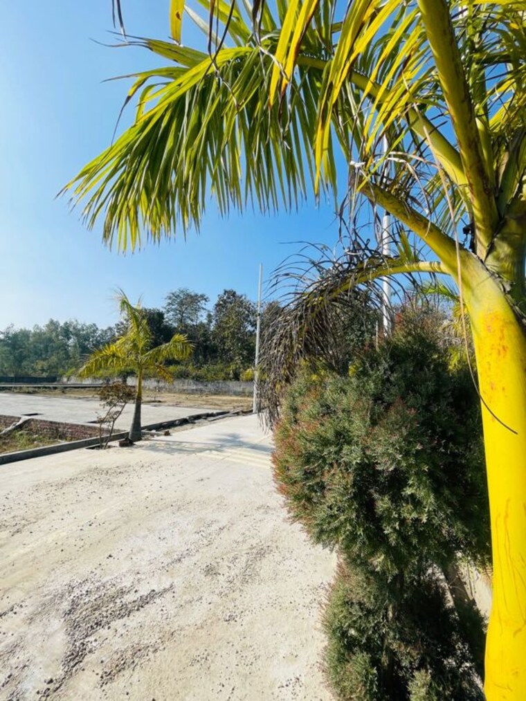 Garden, mohabbewala  130 Sq.Yd. Plot In Mohabbewala Dehradun 9939708