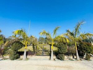  Plot – Exterior View View at Mohabbewala - for Sale