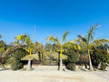  Plot – Exterior View View at Mohabbewala - for Sale