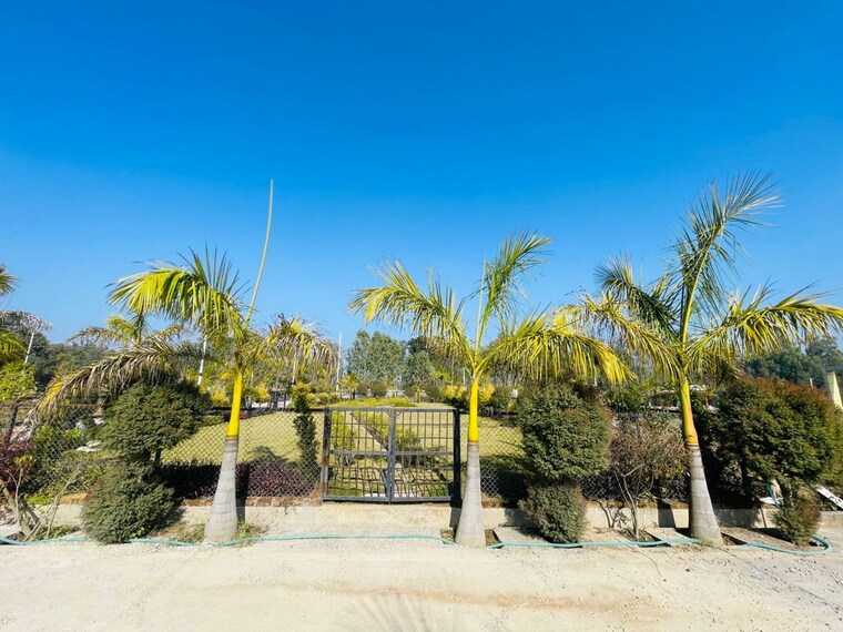 Exterior View, mohabbewala  130 Sq.Yd. Plot In Mohabbewala Dehradun 9939708