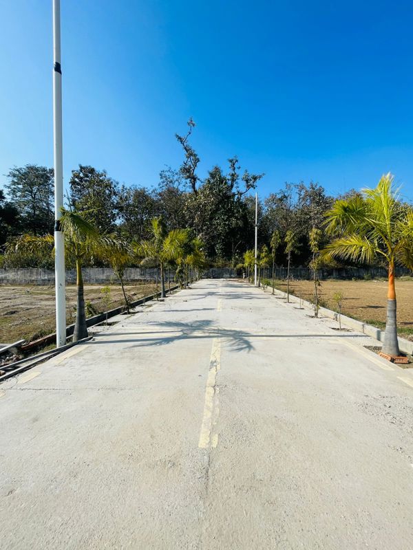 Plot For Sale in Mohabbewala