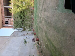  Plot For Sale in Altus The Junction, Saini Majra
