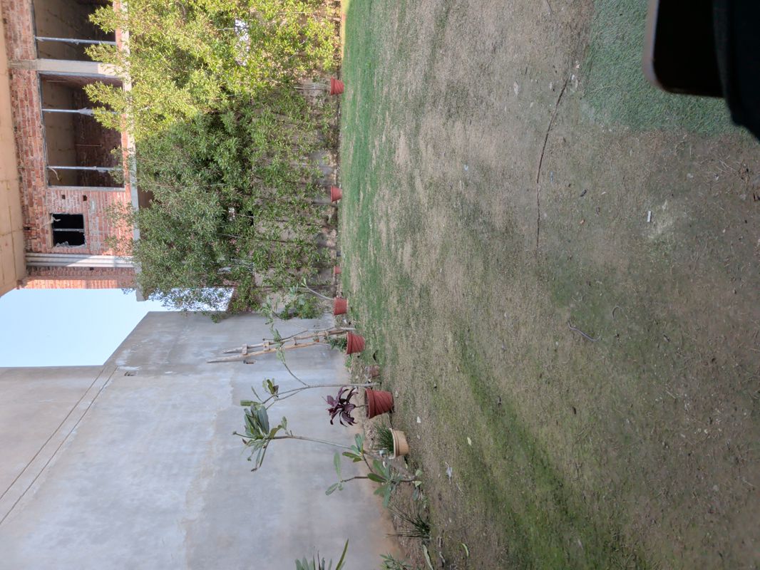Plot For Sale in Altus The Junction