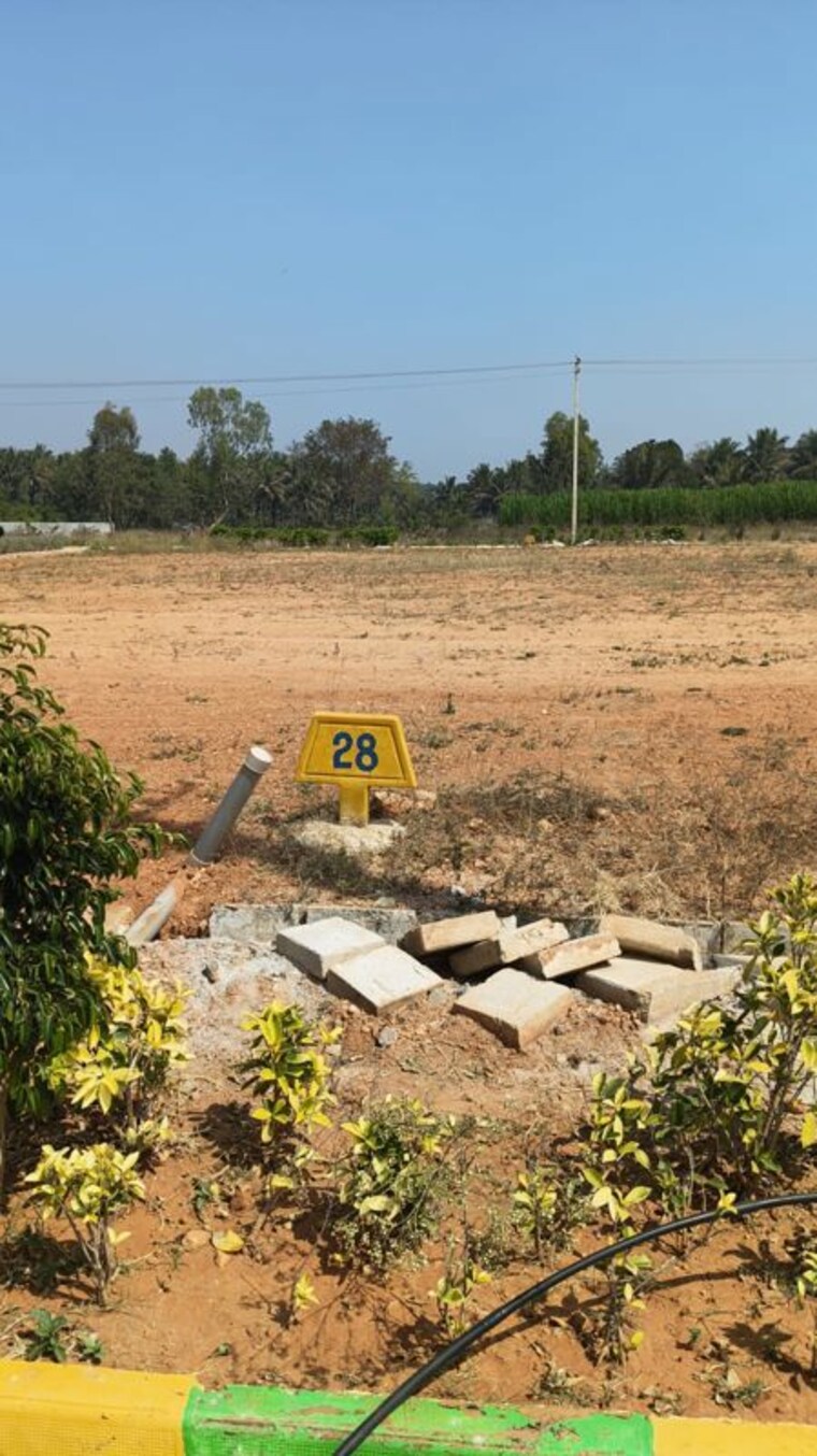 undefined, vijay nagar  1200 Sq.Ft. Plot In Vijay Nagar Hassan 9939864