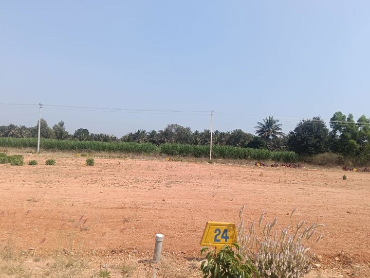 undefined, vijay nagar  1200 Sq.Ft. Plot In Vijay Nagar Hassan 9939864