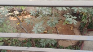 Swimming Pool in 1 BHK Apartment at Rutu Park – for Rent