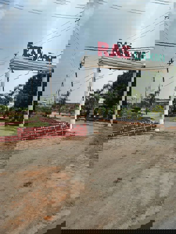 Plot For Sale in Rau