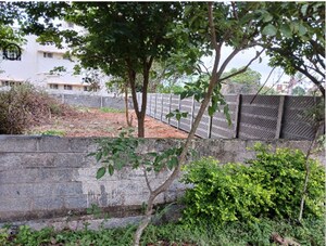 Plot Area in  Plot at Bileshivale – for Sale