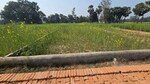 2000 Sq.Ft. Plot in Motiram Adda