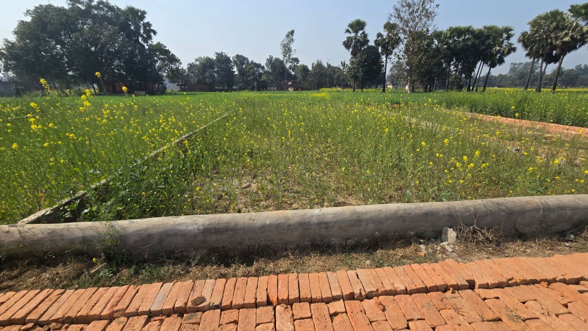 Plot For Sale in Motiram Adda