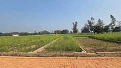 Plot For Sale in Motiram Adda